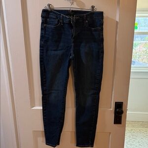 Banana Republic Dark Blue Women's Skinny Jeans